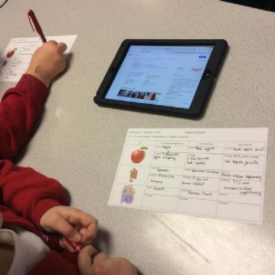 Year 5 have been continuing to explore using a search engine effectively.