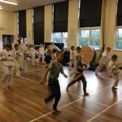 Taekwondo