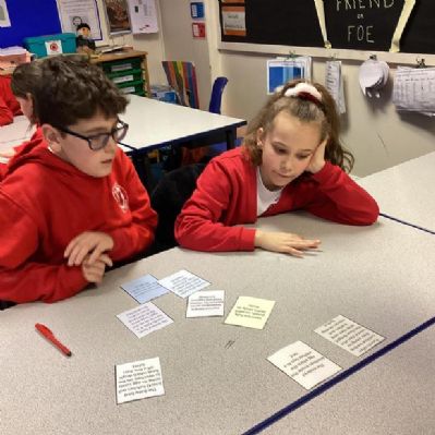 Beech class have been comparing the life cycles of different groups of animals.