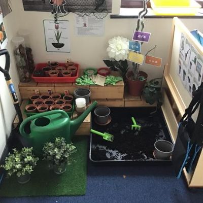 We planted cress seeds and watched them grown over time.