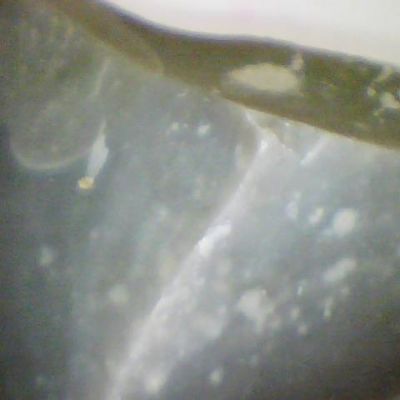 e0fa5656-3d97-46ed-8819-f2e2411bf0e21x1
