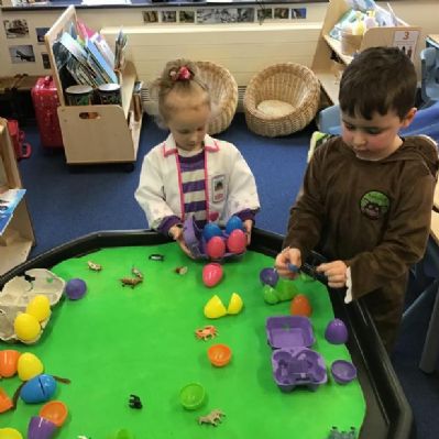 Ash class have been learning about animals that hatch from eggs.