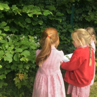 Elm Class are enjoying learning about plants.