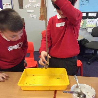 The Digestive System in action!