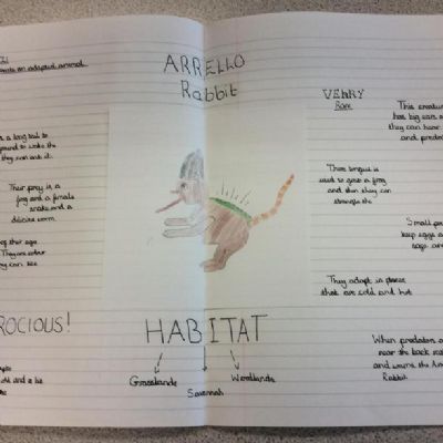 Year 5 have been learning all about Evolution and Inheritance in our Science lessons and how to group and classify different groups of animals.