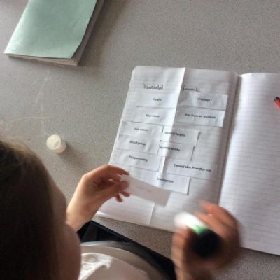 Year 5 tried out a modelling and pattern seeking activity to investigate inheritance.