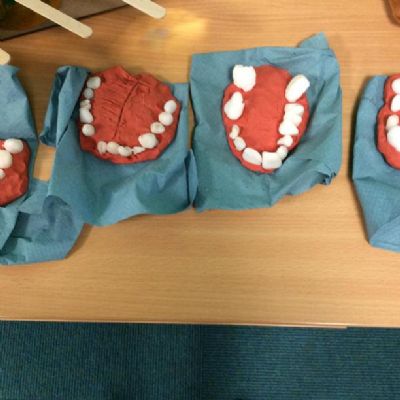To reinforce our understanding of teeth, we made our own set using plasticine and polymorph.