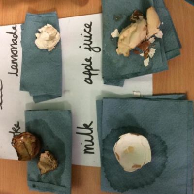 These were the results of our observations over time.