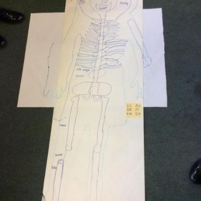 Skeleton Drawings - Our Initial Ideas