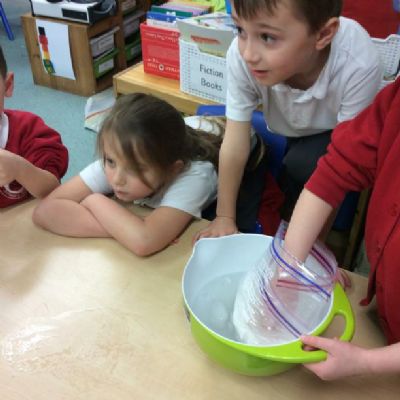We tested lard and oil so that we understood how blubber works in polar animals.