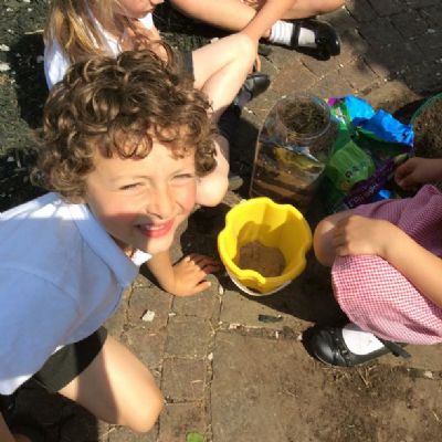 We made a class wormery.