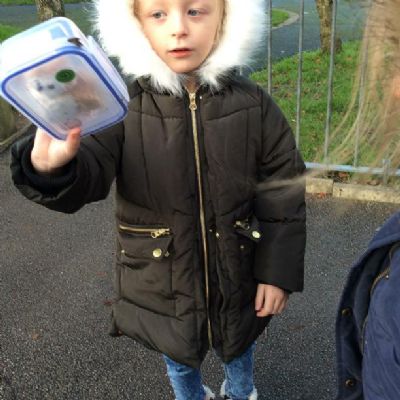 We went into our local environment with our friends in Class 6.