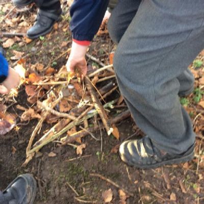 We built habitats for woodland animals.
