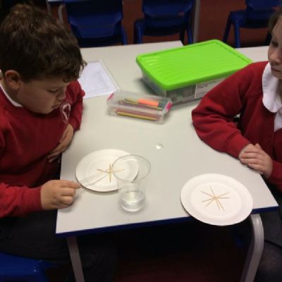 Our first science club of the year focused on water tension and how we could affect it.