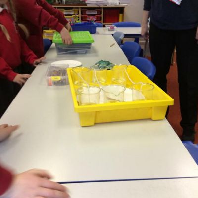 We started the process of making 'salticles'.