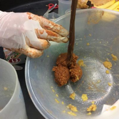 Class 6 and 7 have been learning about the digestive system.