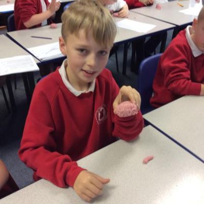 This week we have launched 'Growth Mindset' as a school.