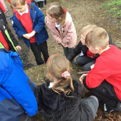 As part of Holy week, Beech class joined up with Birch class to create a cross using natural materials in the outdoor garden.