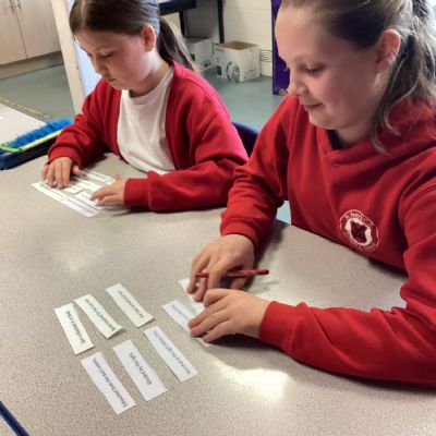 ED sentence structures