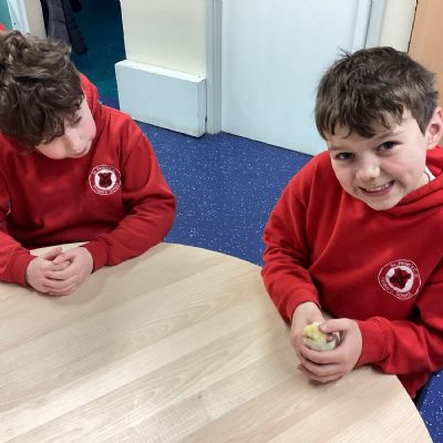 Baby Chicks in school