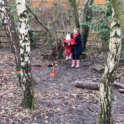 In the Woods