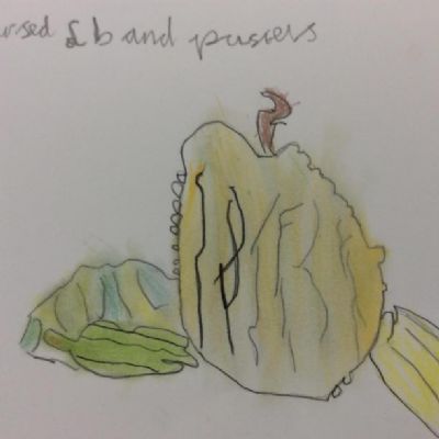 Lesson 1 - drawing in 2b and 6b then developed into chalk pastels