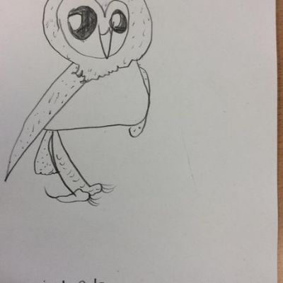 It's that time of year again - the RSPB Garden Bird Watch and our 'Owl' drawings- to help us understand the world and art pencils for fine motor skills.