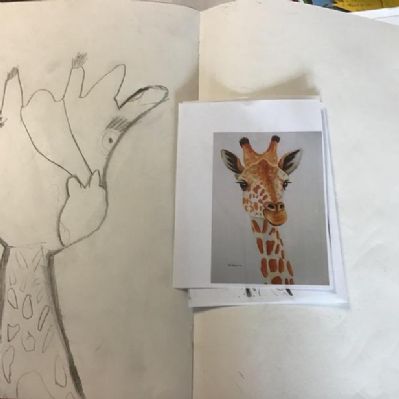 In Y4 we practised our sketching skills by copying a picture of a giraffe!