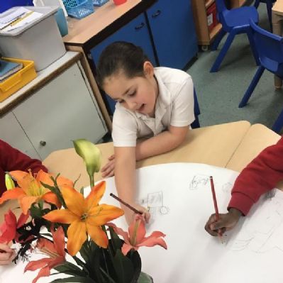 In Elm class, we are drawing still life pictures of flowers.