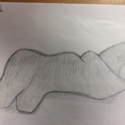 3 pupils from Hawthorn have been inspired to sketch more Henry Moore forms at home