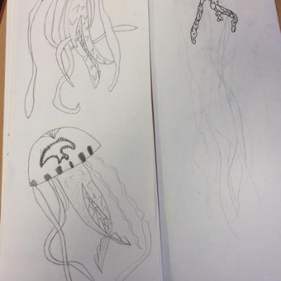 Hawthorn - Year 4 - Lesson 1
