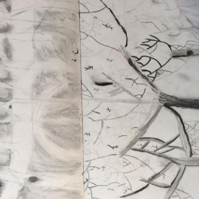 Year 5 using sketchbooks to explore a project on trees.