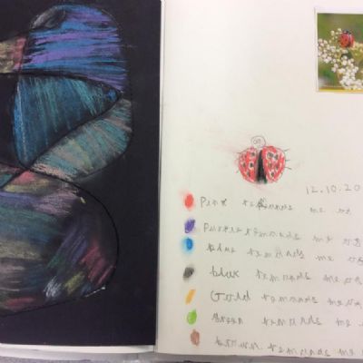 KS1 ARE NOW DEVELOPING THEIR OWN SKETCHBOOKS