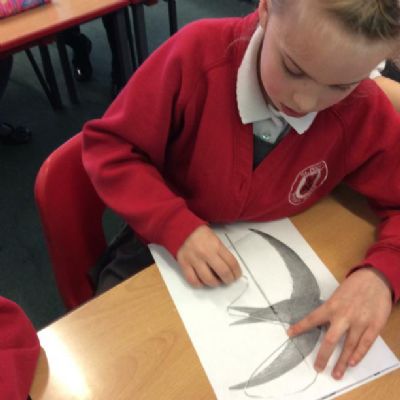 Our new literacy theme is based on the book, 'Perfect' by Nicola Davies.
