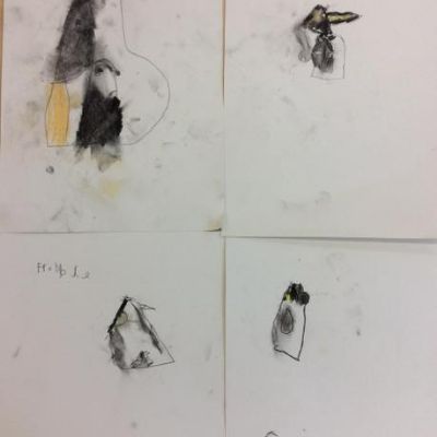A MESSAGE FROM THE ORNITHOLOGIST AND ILLUSTRATOR