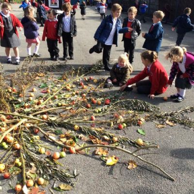 The Infants joined together to make an 'Autumn Firework' during lunch-time.