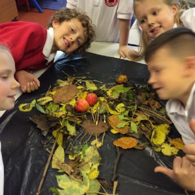 Following our Autumn walk we made pictures with natural materials.