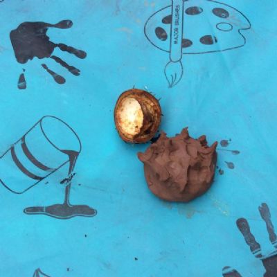 EYFS have began their journey into clay - making clay conker shells to hold a conker.