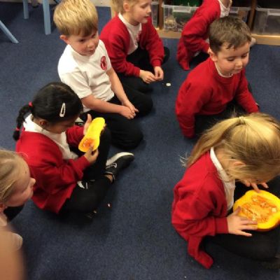 Harvest food tasting, using hammers safely and exploring the insides of different fruits and vegetables