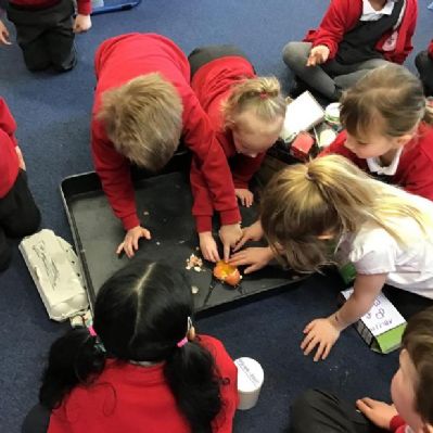 Making an egg protector to keep an egg safe. We designed, made and tested each one